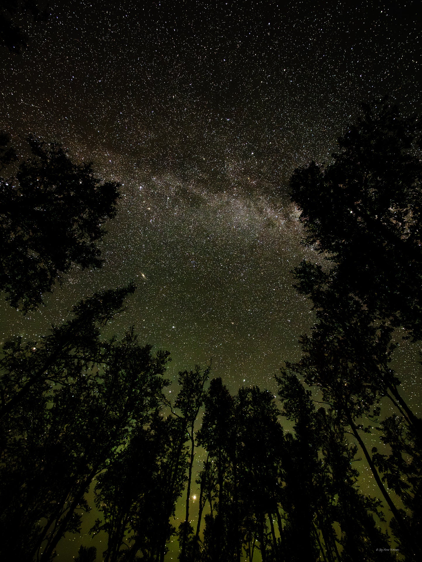 Milky Way Magic Night Sky