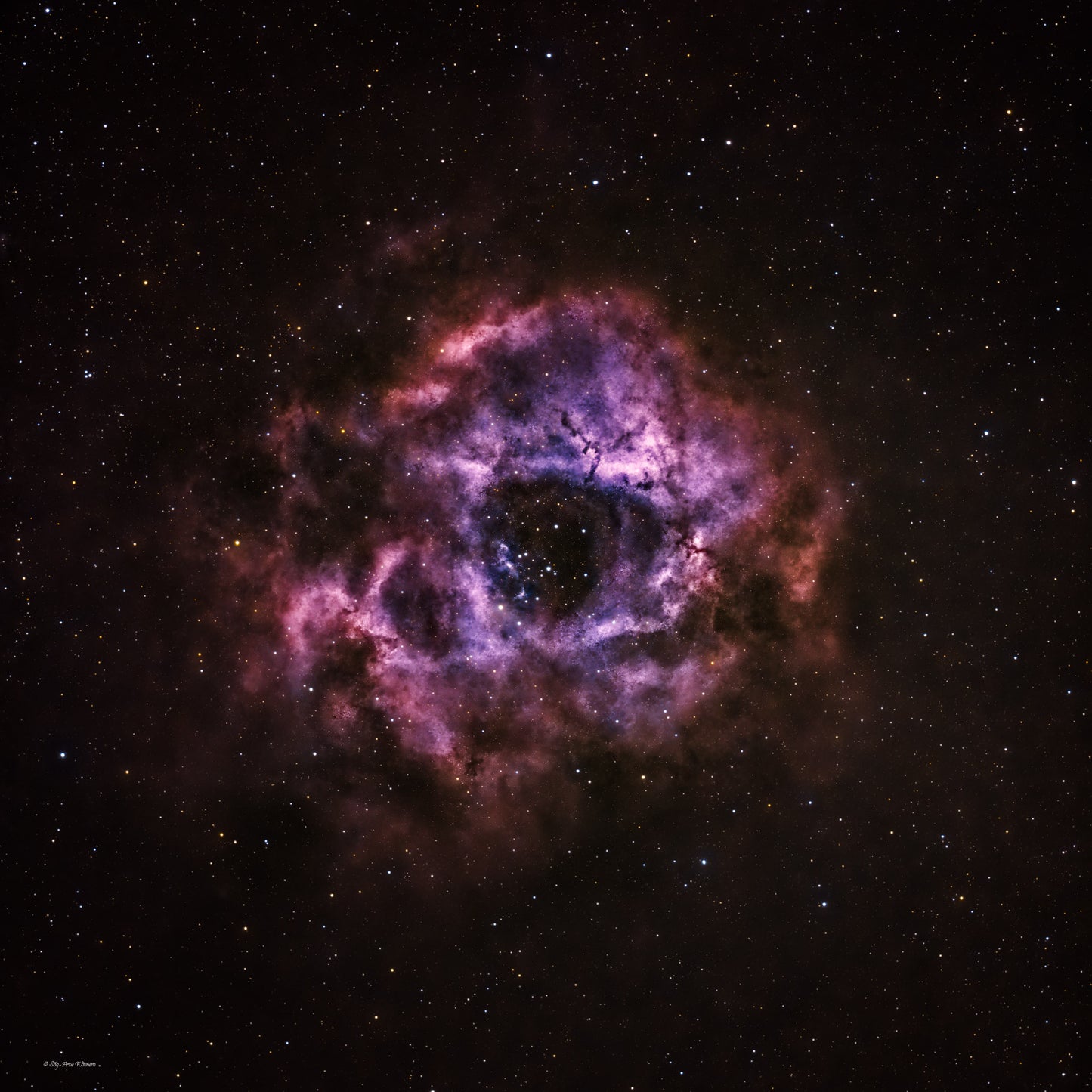 Rosette Nebula